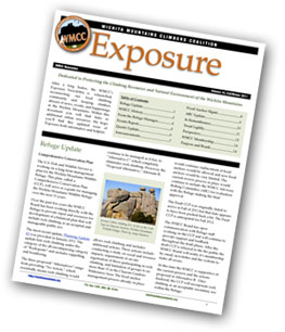 Exposure Newsletter