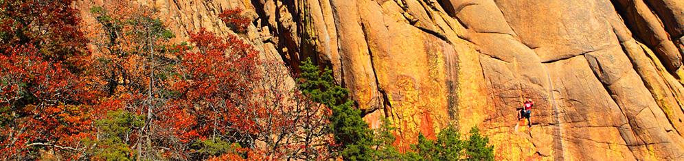 Pear and Apple, by Ryan Ray