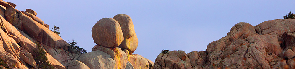 Pear and Apple, by Ryan Ray