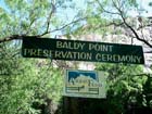 Baldy Sign